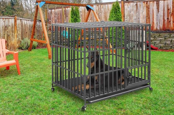Black Metal Dog Crate On Lawn