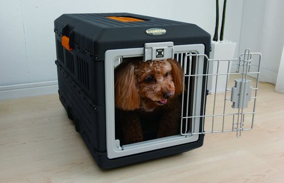 Folding Dog Crate With Door