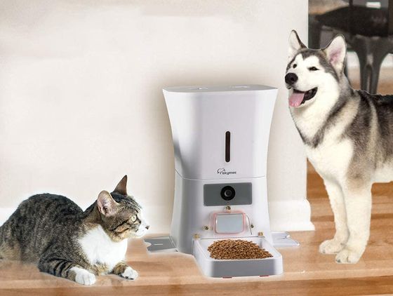 New Food Dispenser For Cats