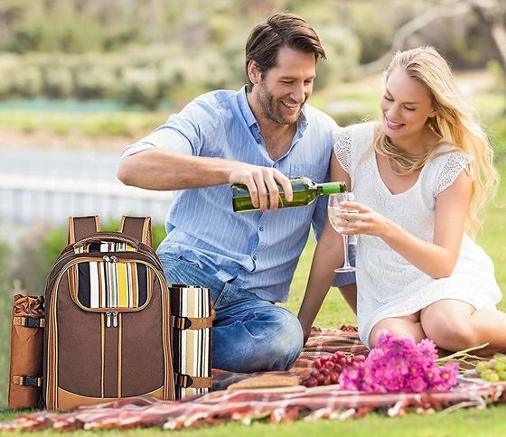 Brown Luxury 4 Person Picnic Backpack