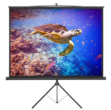 Pull Down Projector Screen With Black Tripod Legs
