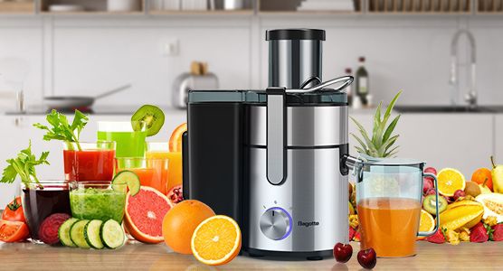 Fruit And Veg Juicer In Steel Finish