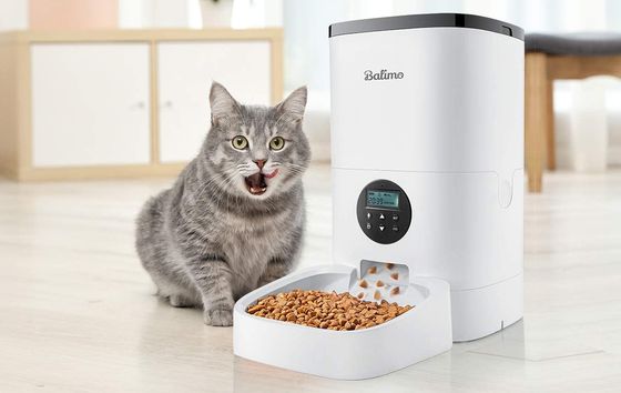 Automatic Cat Feeder With Blue LCD