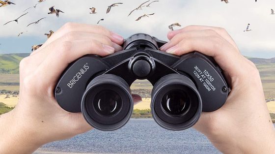 Black 10x50 Binoculars Full Size