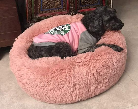 Round Cushion Dog Bed Nest In Pink