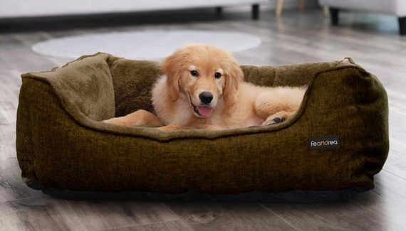Washable Bean Bag Dog Bed Removable Cover In Brown