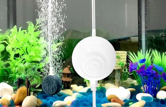 Thermometer Aquarium Air Pump All White