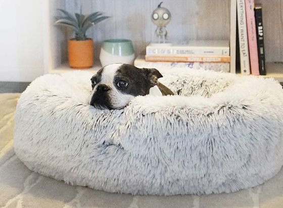 Bean Dog Bed Self-Warming Calming