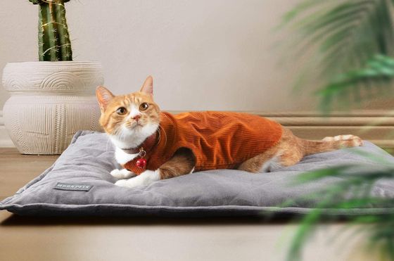 Pets Self Heating Cat Blanket In Grey