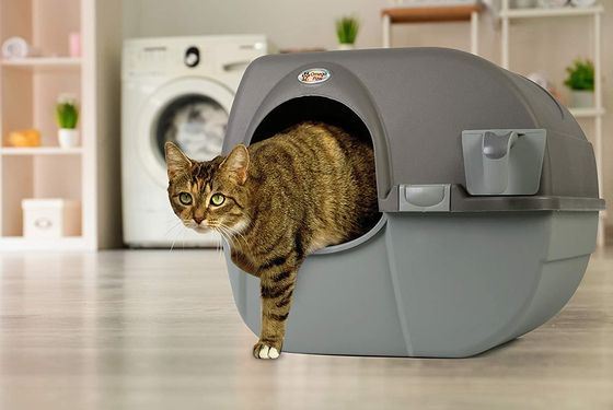 Grey Self Cleaning Litter Box