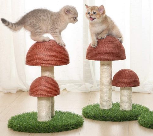 Mushroom Cat Scratching Post