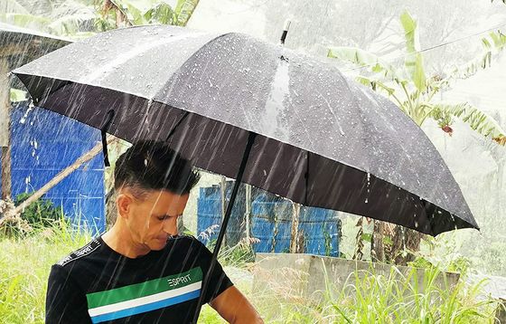 Umbrella Storm And Wind Safe In Black