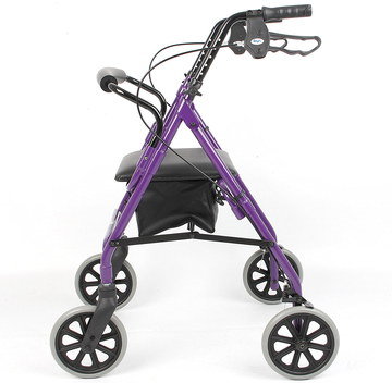 Folding Walking Aid With Seat And Blue Frame