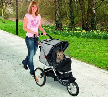 Doggy Buggy With Cover Pushed By Woman In Park