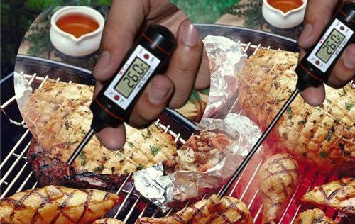 Meat Thermometer With Steel Prong