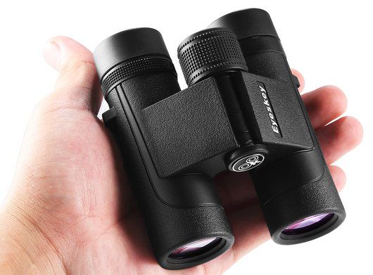 Black Mini Binoculars In Man's Hand