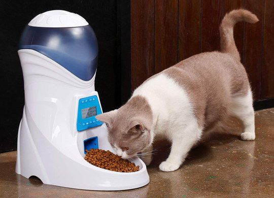 Cat Food Dispenser With Blue LCD Panel