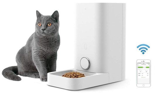 Cat Food Dispenser With White Mobile Phone