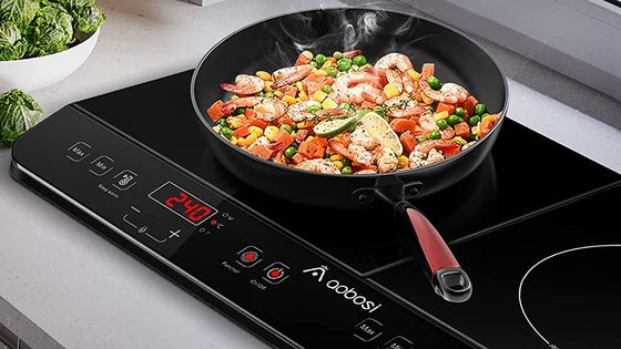Double Induction Hob Hotplate