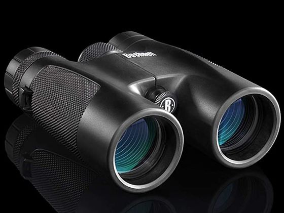 BAK7 prism budget binoculars with side grip