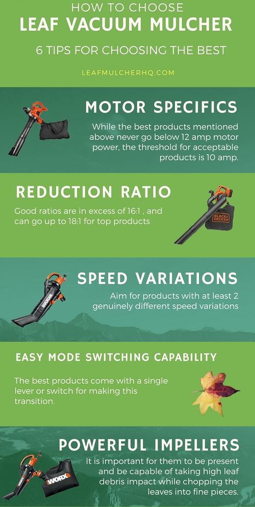 Leaf Blower Infographic In Green