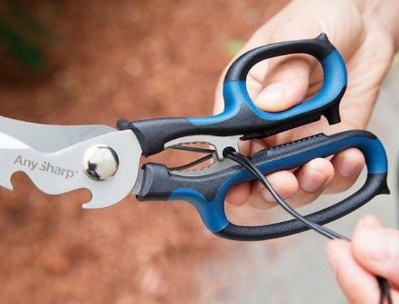 Tempered Scissors In Black And Blue finish