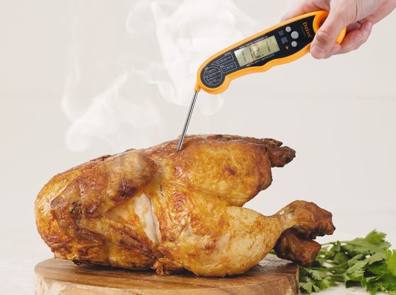 Fold-Up Food Probe Thermometer