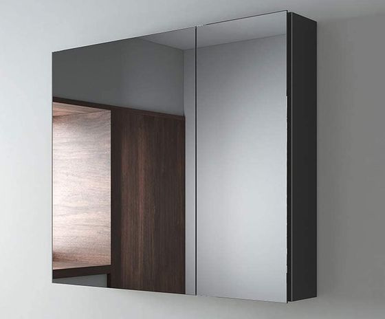 Bathroom Mirror Cabinet Double Door