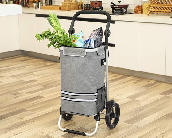 A Large Shopping Bag On Wheels