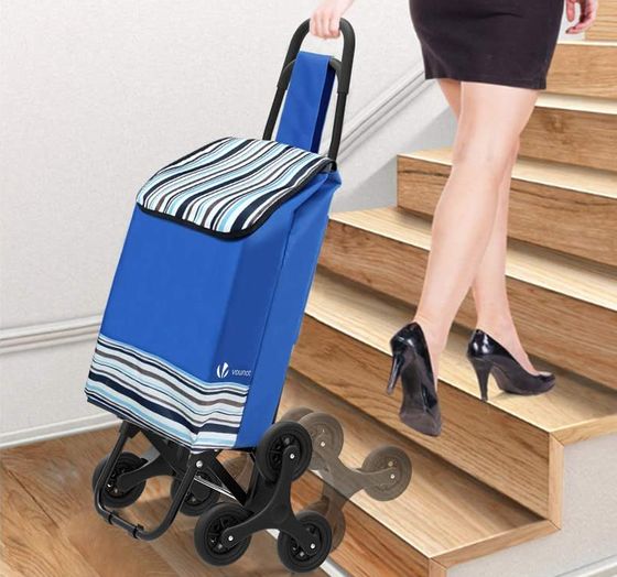 Foldable Shopping Trolley Bag In Blue Check