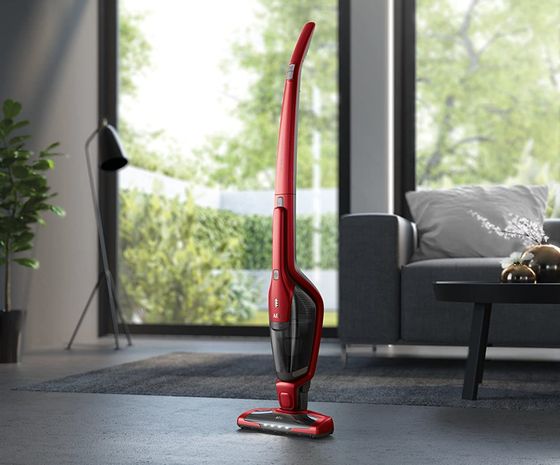 Red Animal Pet Stick Rechargeable Hoover