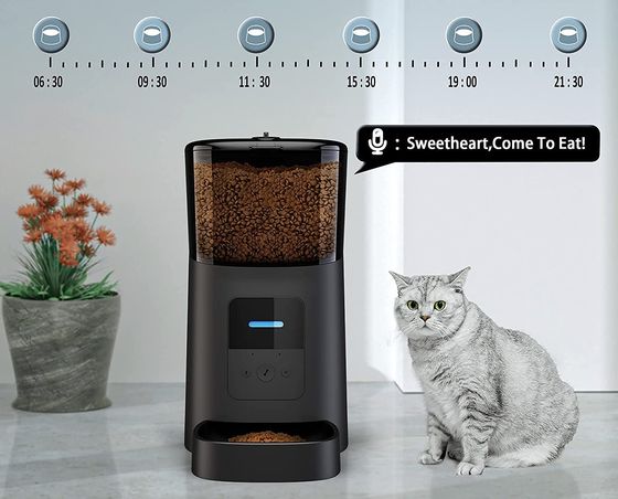 APP Control Feeder For Cats With Black Tray