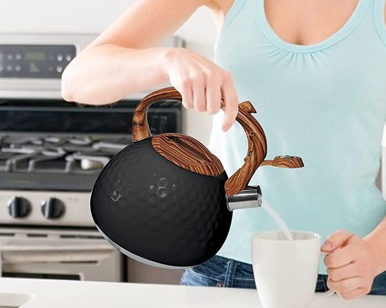 Sturdy Stove Top Whistling Kettle