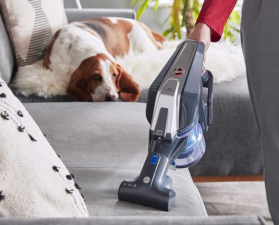 Power Pets 300 Cordless Vacuum