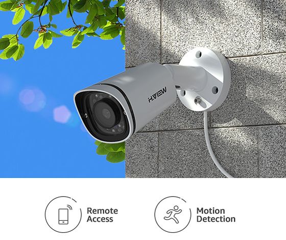 PTZ IP Camera In Dome Style
