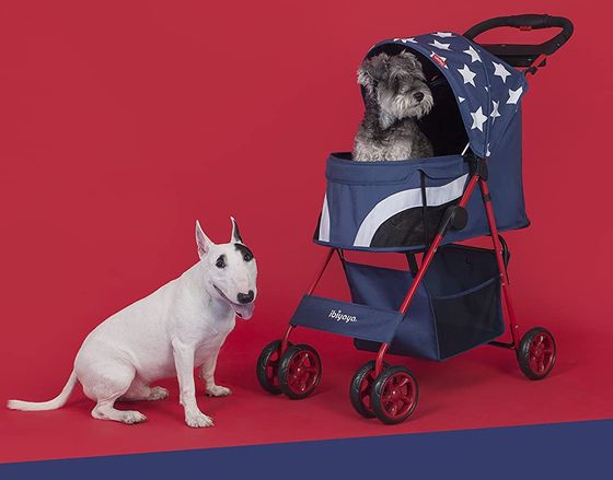 Dog Carriage With Leash And Square Space