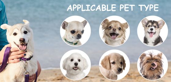 Applicable Doggie Varieties