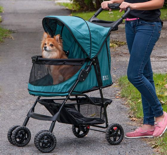 Doggy Buggy With Cover Pushed