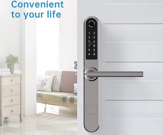 Grey Smart Waterproof Keyless Door Lock