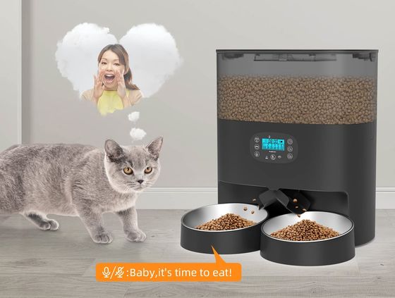 Black Cat Dry Food Dispenser With Big Bowl