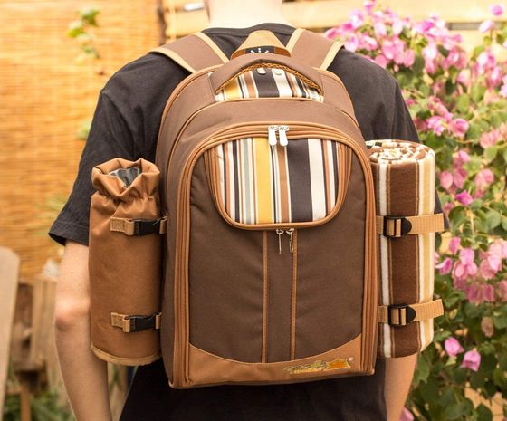 Smart 4 Person Picnic Backpack