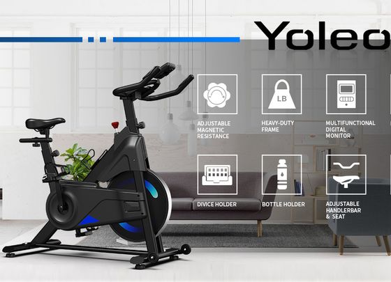 Bidirectional Flywheel Indoor Exercise Bike