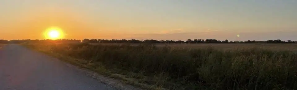 Sunrise On Field