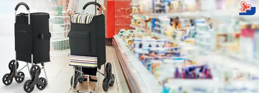 Supermarket Trolley In Store