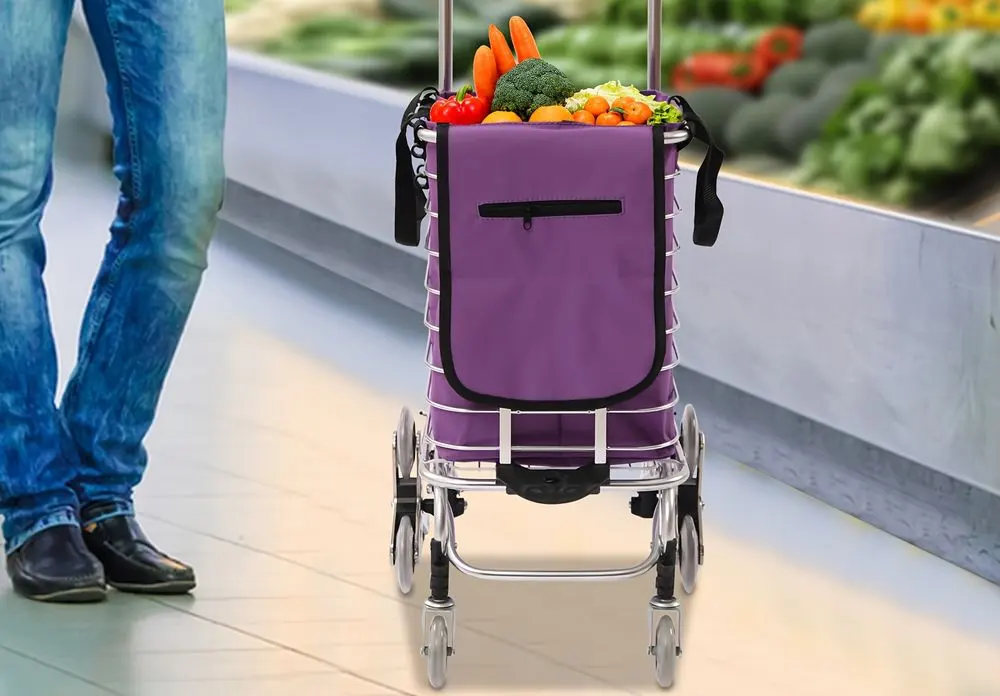 Collapsible Shopping Trolley In Store