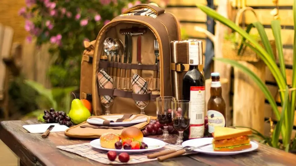 Hiking Picnic Backpack With Glasses