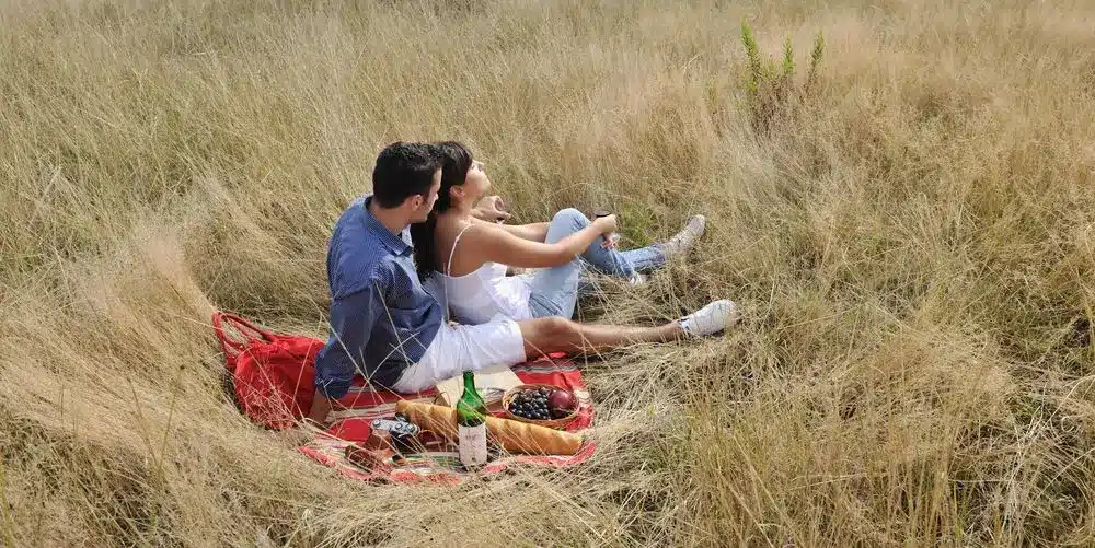 Picnic Backpack With Blanket On Grass