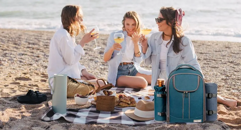 Picnic Backpack For 4 With Blanket & Fruit
