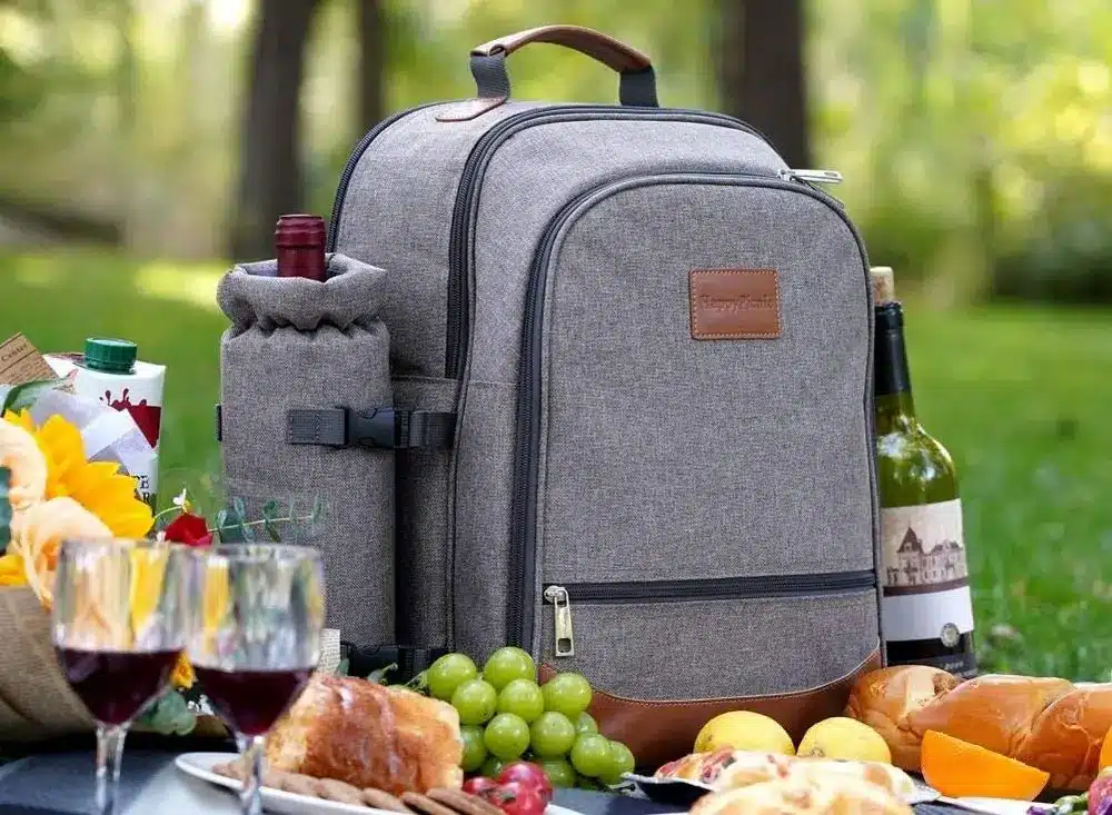 HappyPicnic Insulated Backpack For 4 Persons