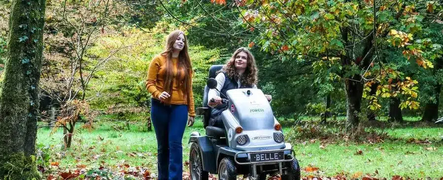 Portable Mobility Scooter In Woods